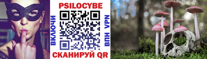 Псилоцибиновые грибы мухоморы  дарнет шоп  blacksprut ССЫЛКА  Тетюши 
